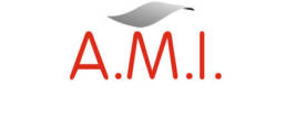 logo AMI
